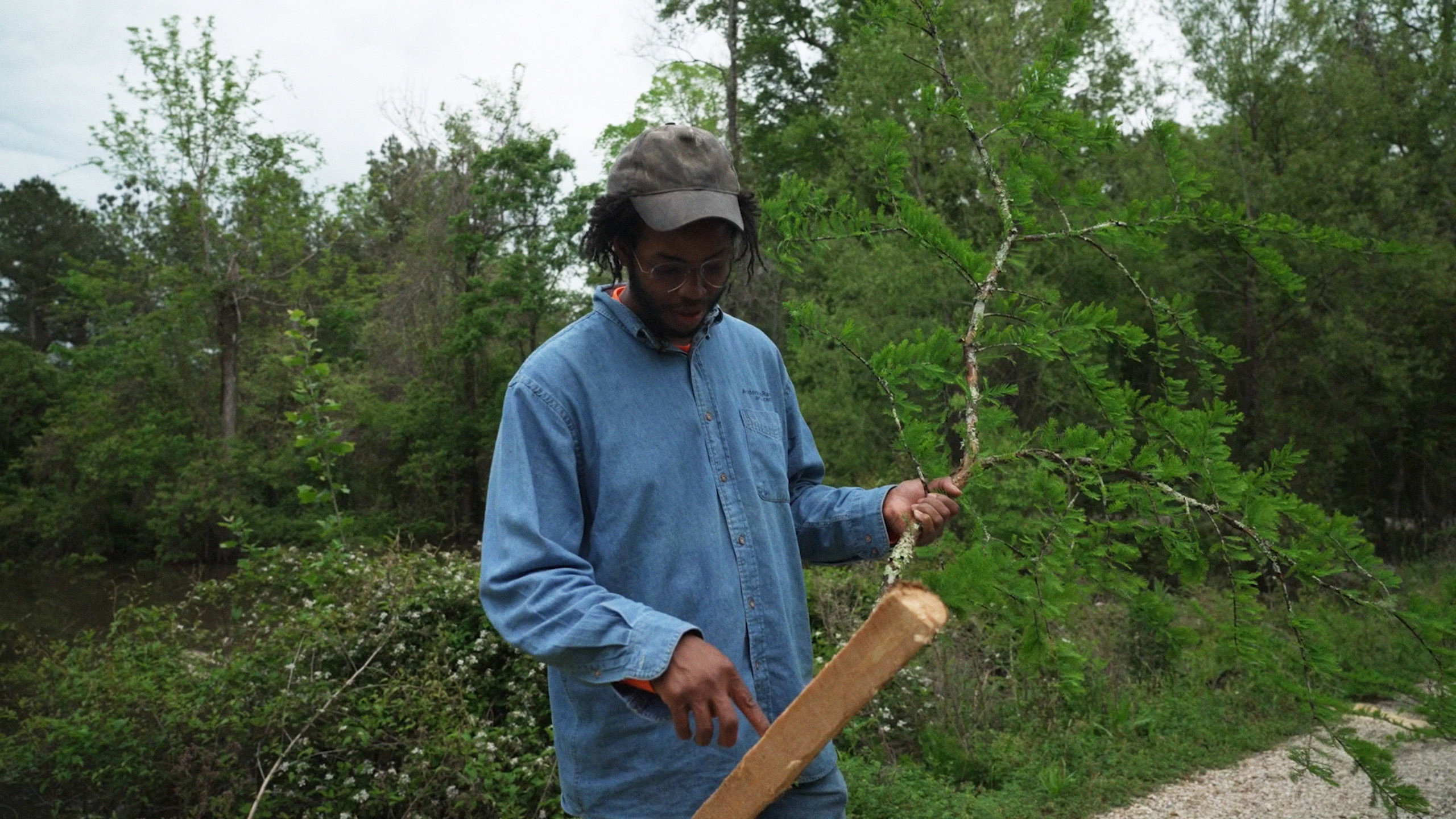 Director