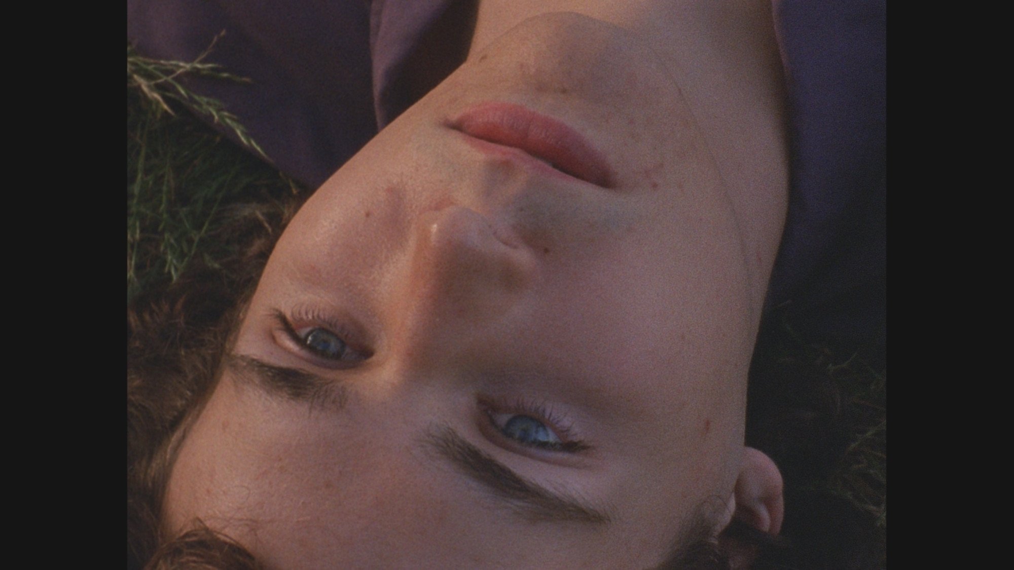 Cam Archer