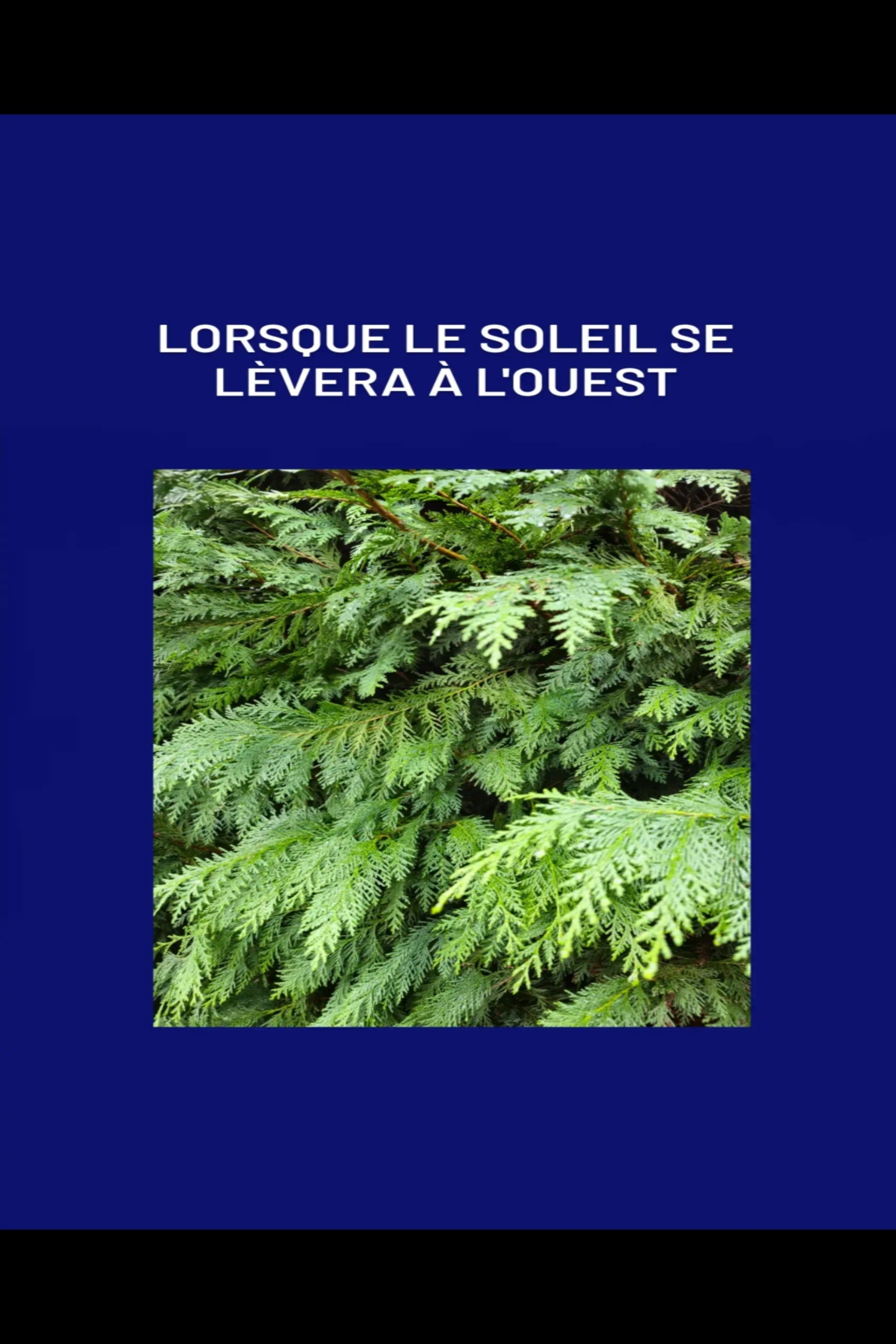 Poster de Lorsque le soleil se lèvera à l'ouest