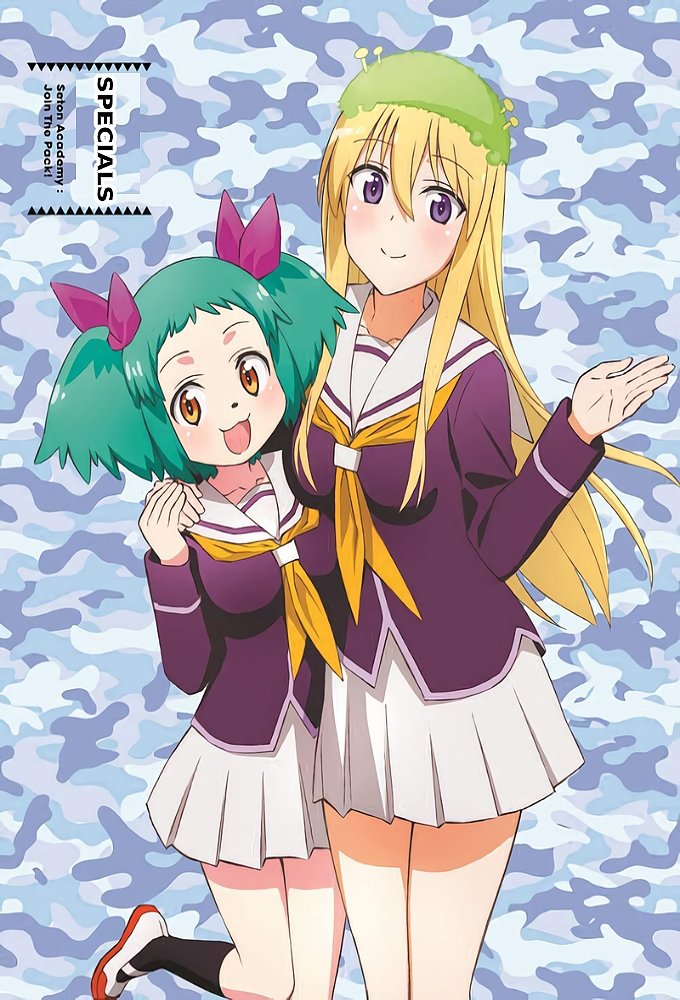 Poster de Especiais