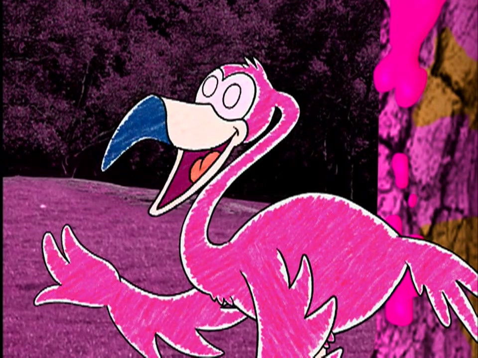 Pinky and the Pink Phenomenon