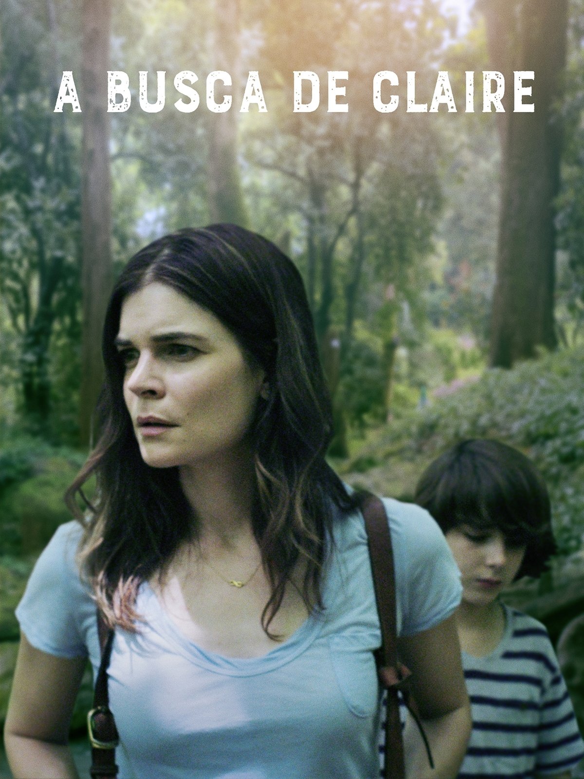 Poster de A Busca de Claire