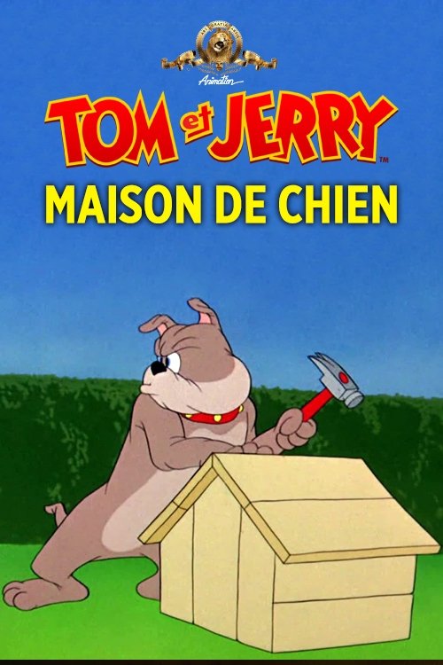 Maison de chien