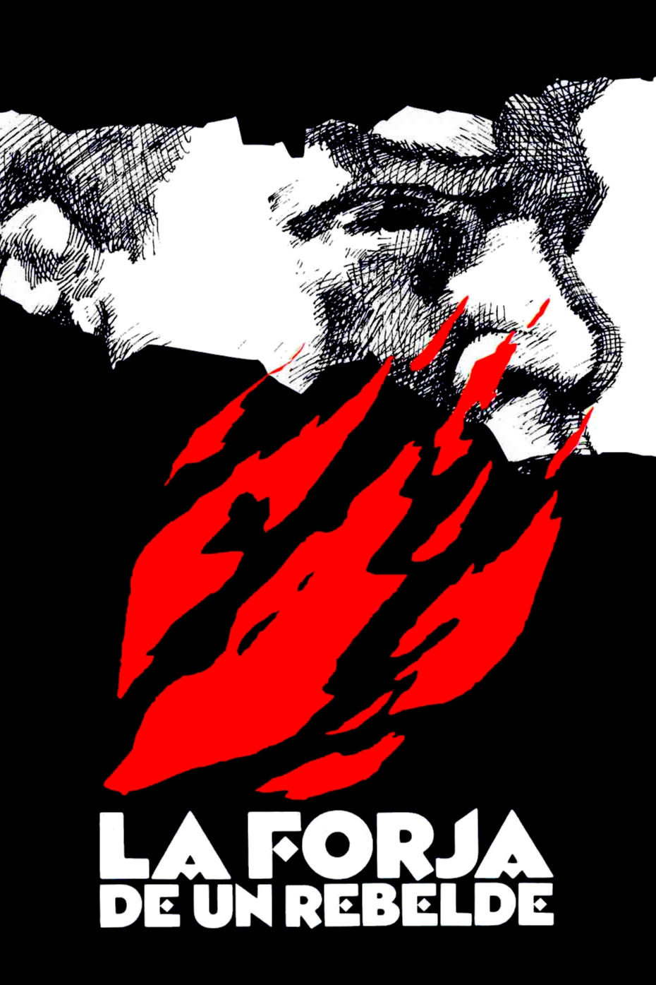 Poster de La forja de un rebelde