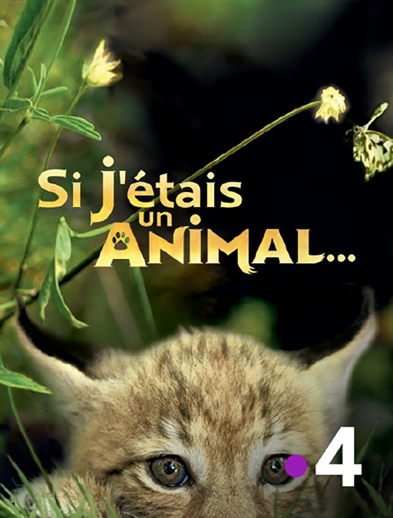 Poster de Si J'étais un animal