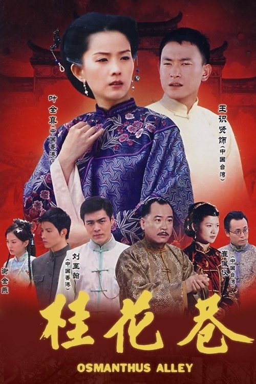 Poster de 桂花巷