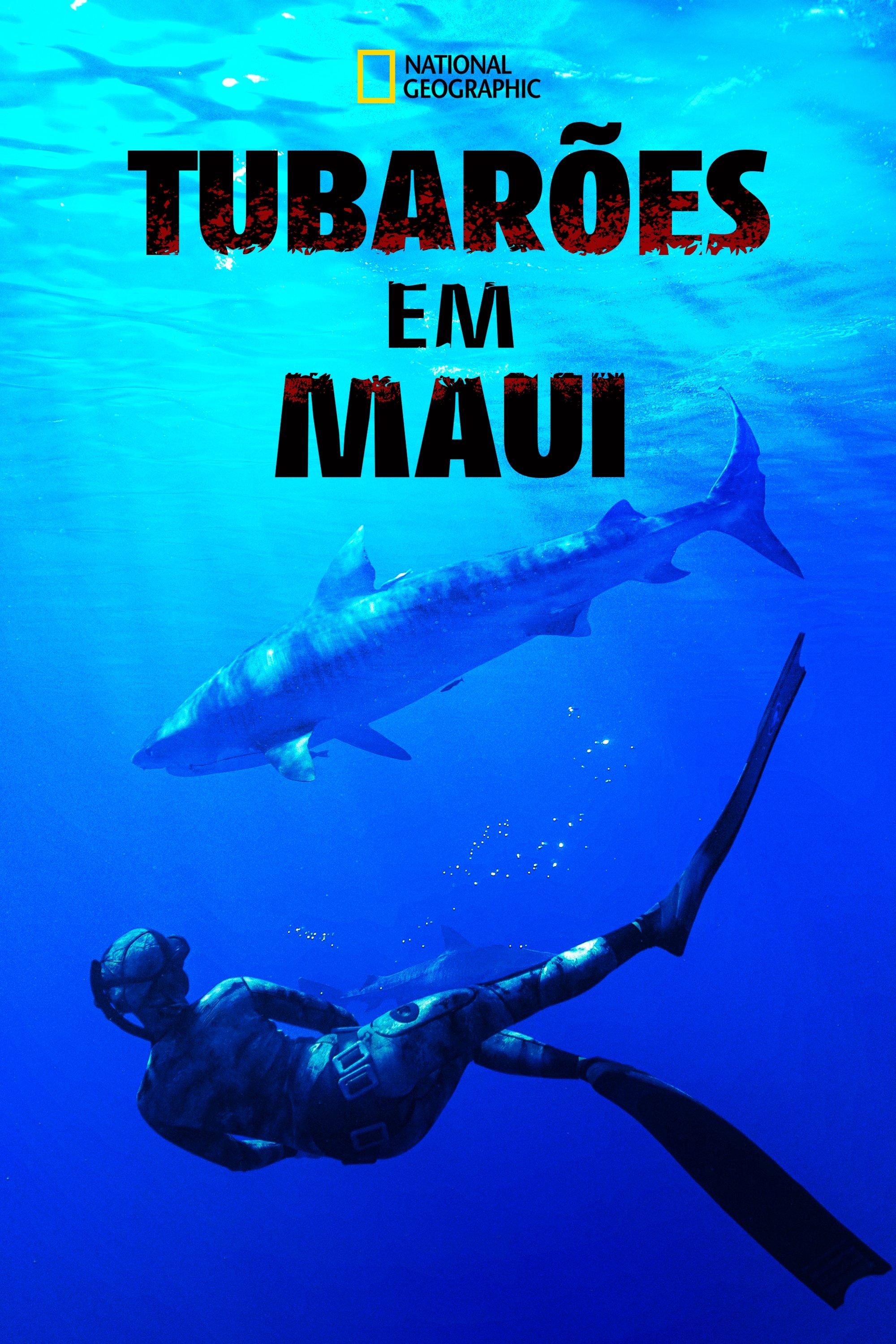 Poster de Tubarões em Maui