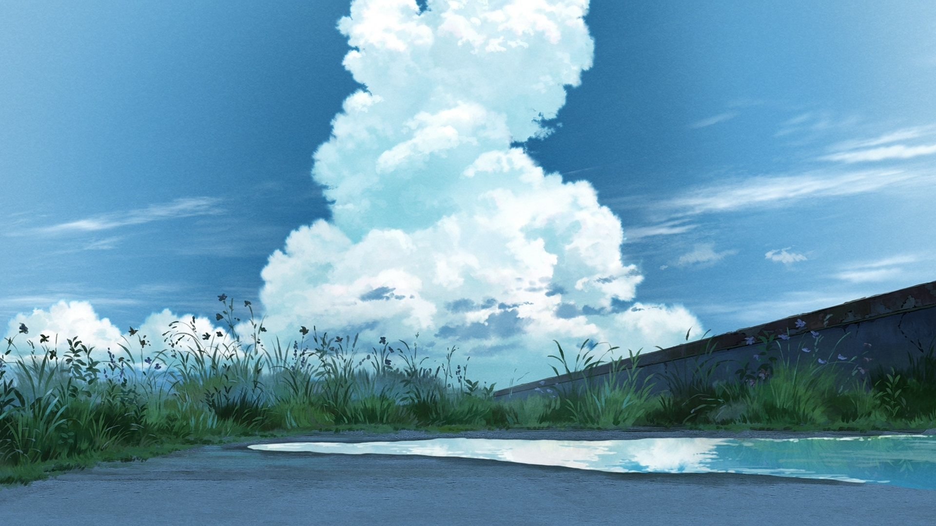 backdrops