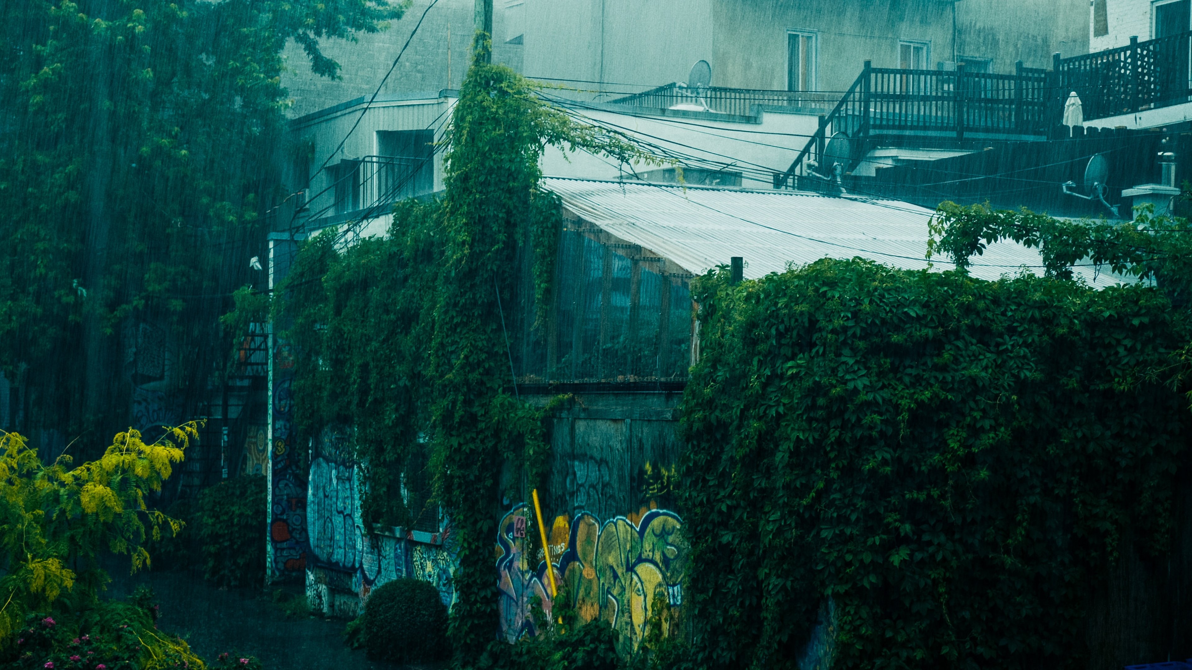 Backdrop image