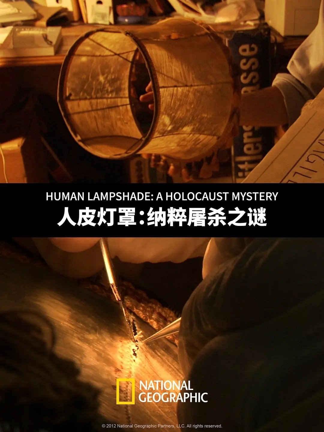 Poster de Human Lampshade: A Holocaust Mystery
