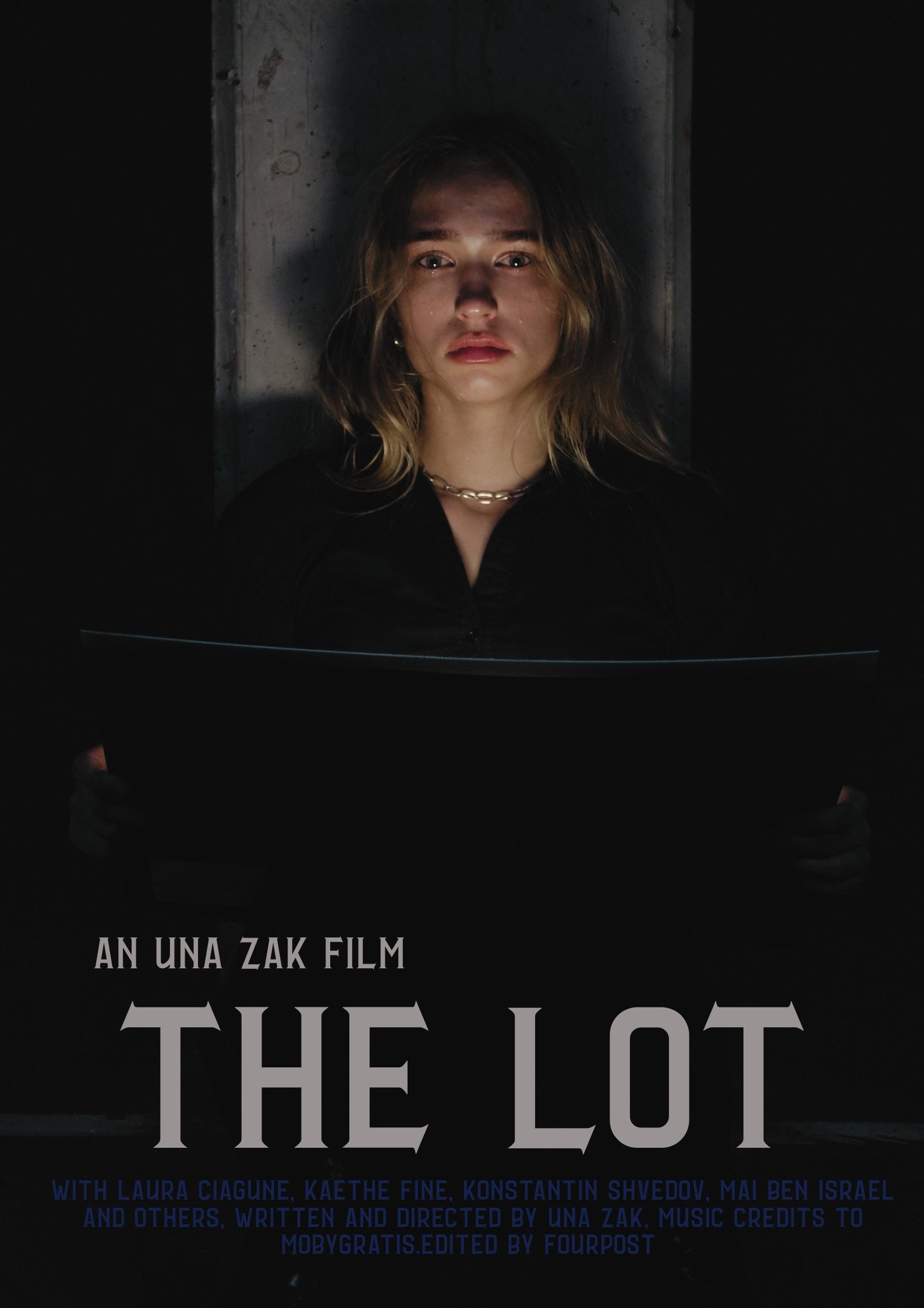Poster de The Lot