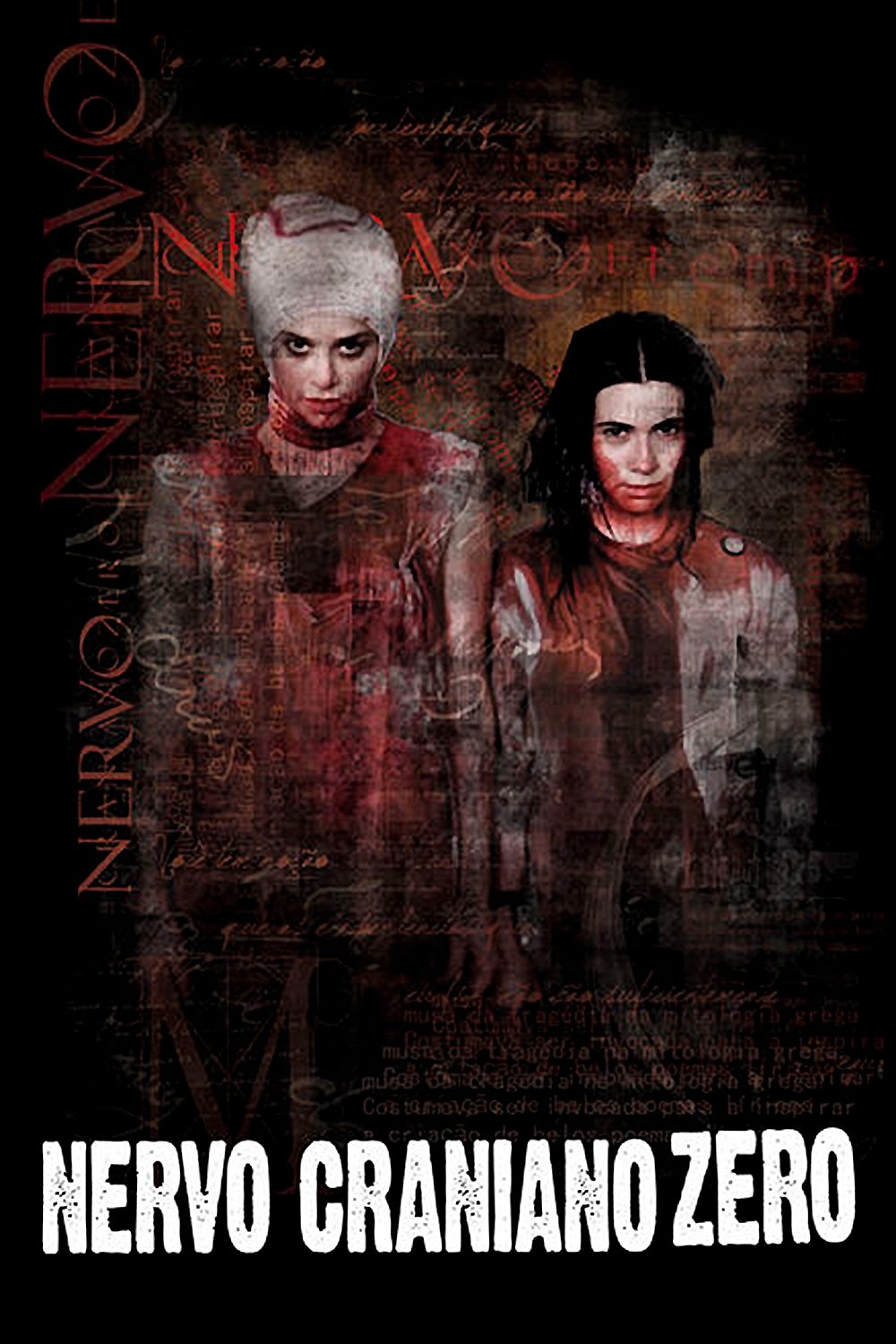 Poster de Nervo Craniano Zero