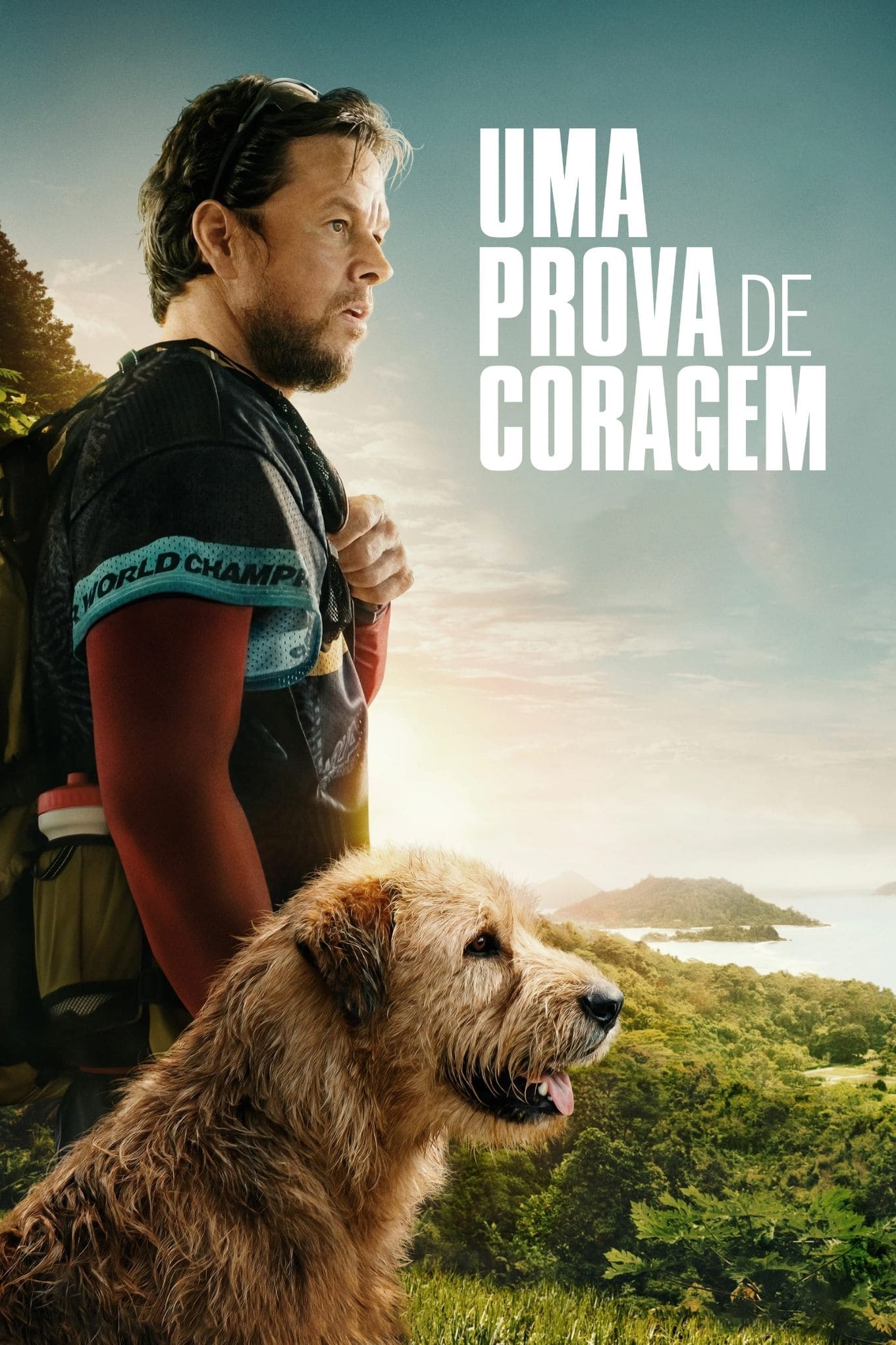 Poster de Uma Prova de Coragem