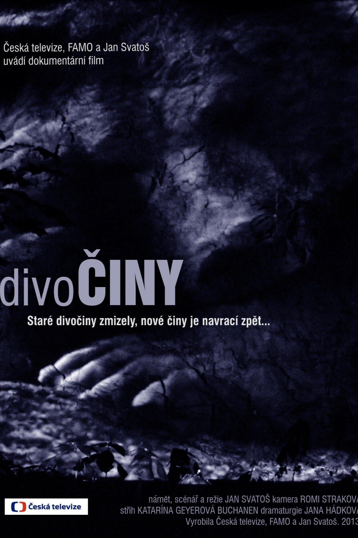 Poster de DivoČINY