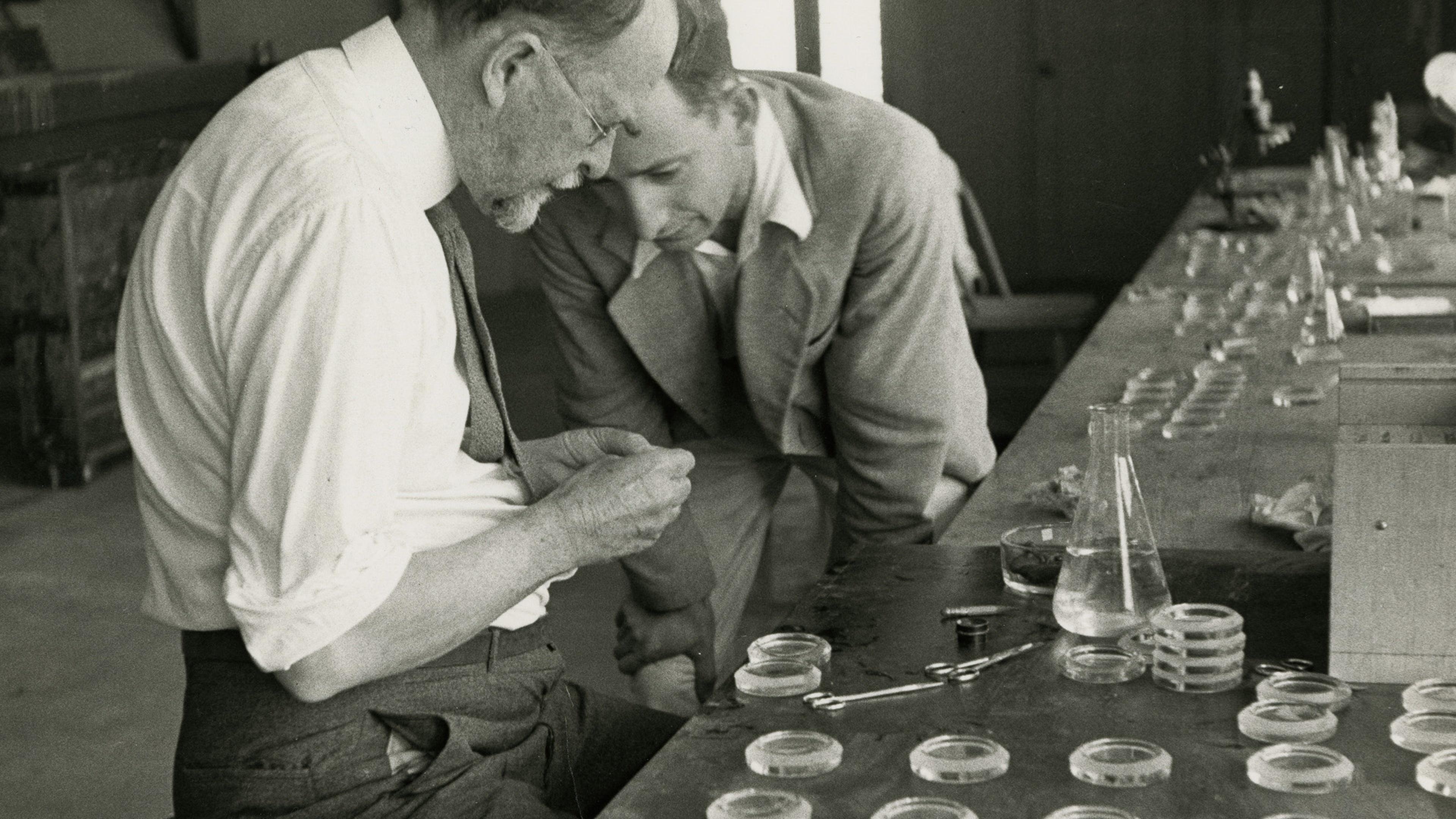 The Gene: An Intimate History