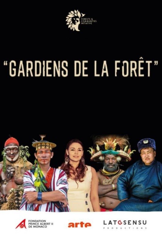 Poster de Les Gardiens de la forêt