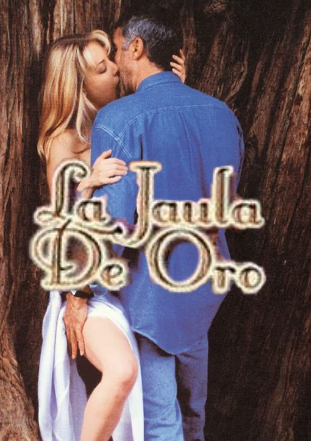 Poster de La jaula de oro