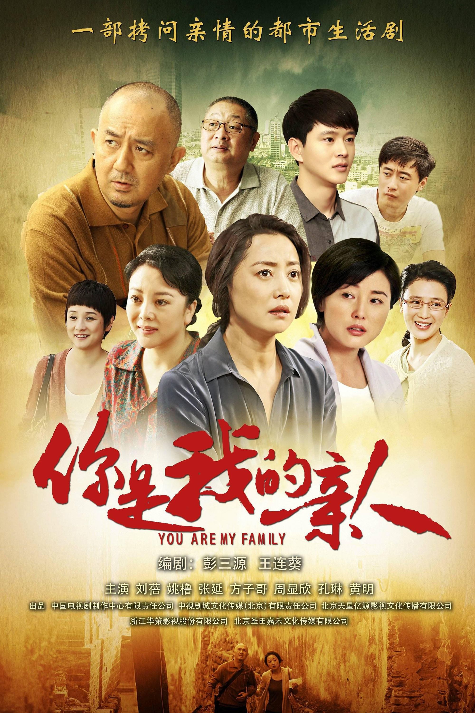Poster de 你是我的亲人