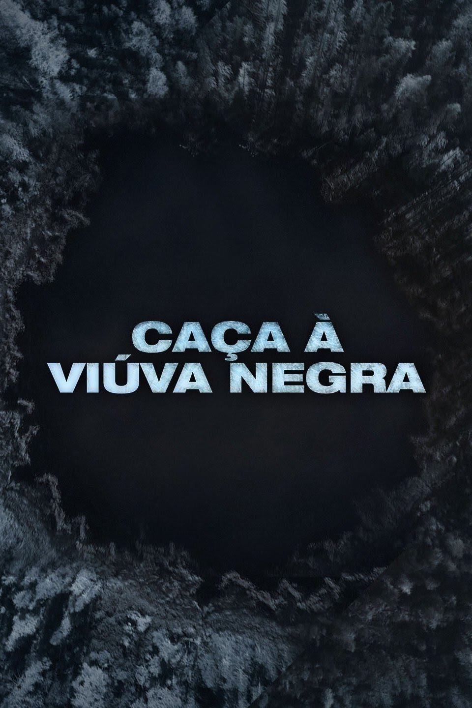 Poster de Caça à Viúva Negra