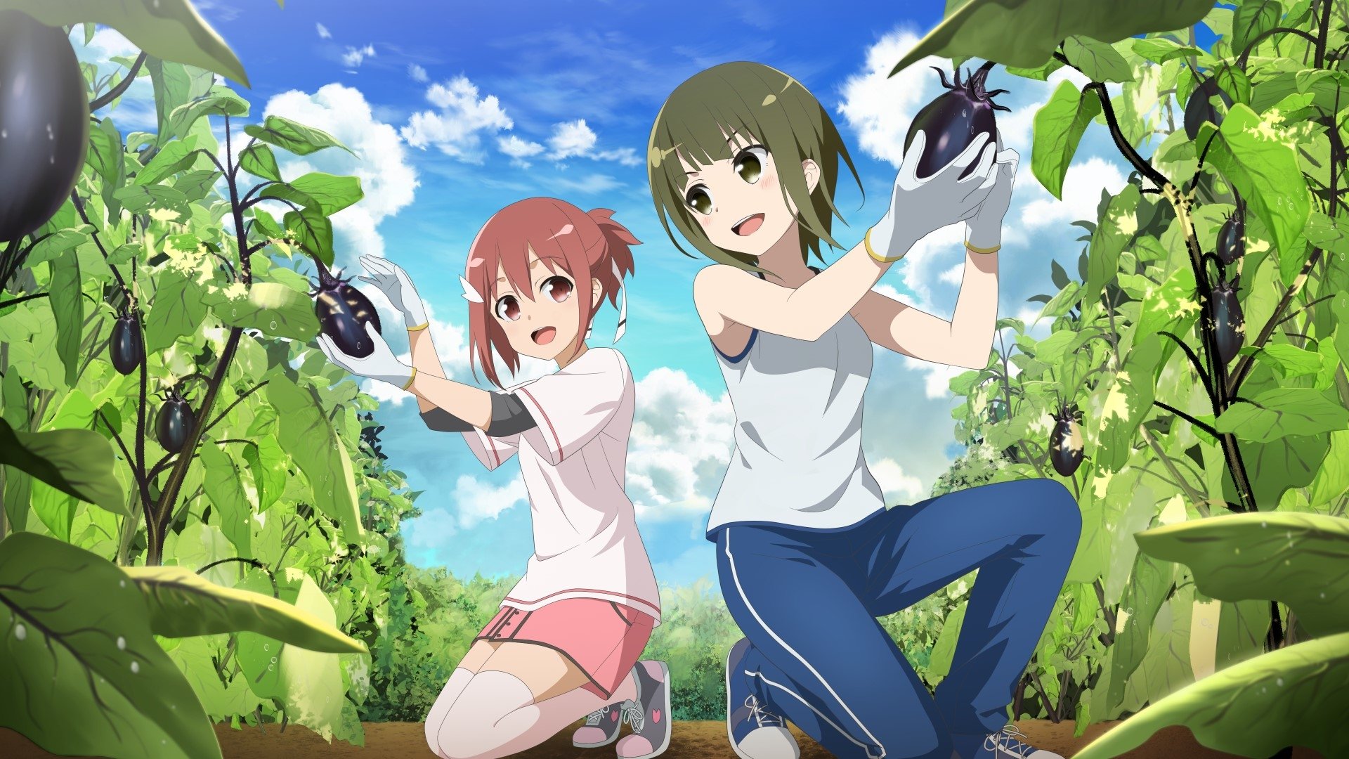 Backdrop image