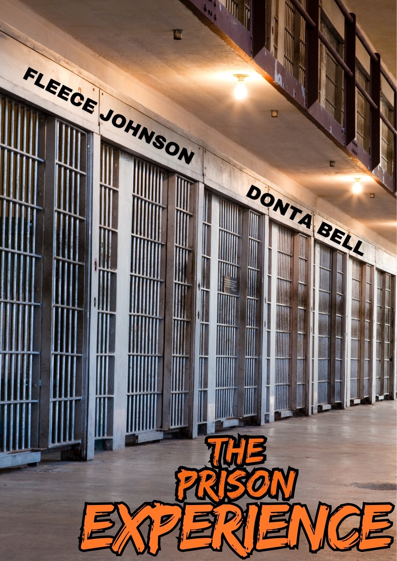 Poster de The Prison Experience