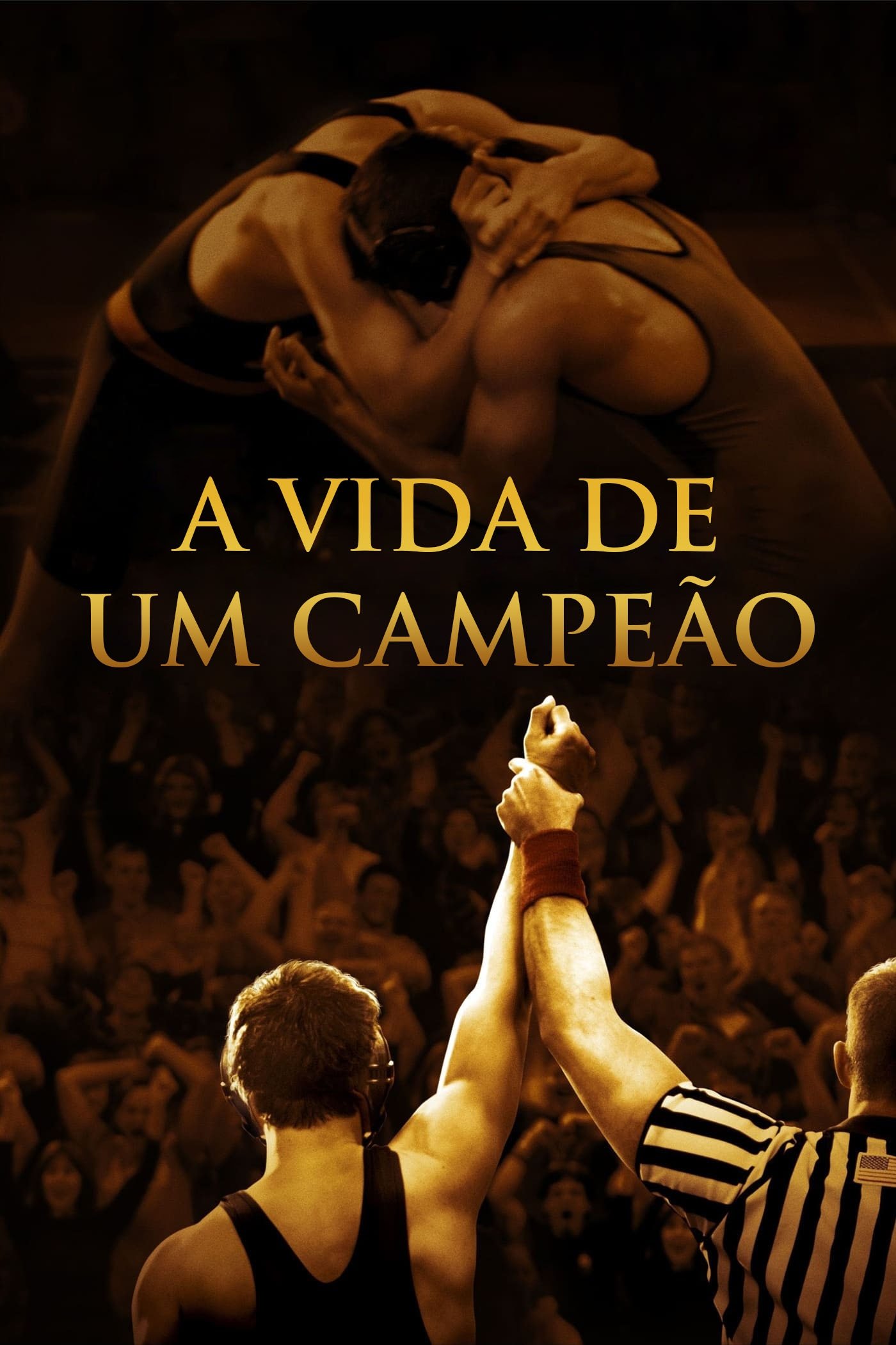 Poster de A Vida de Um Campeão