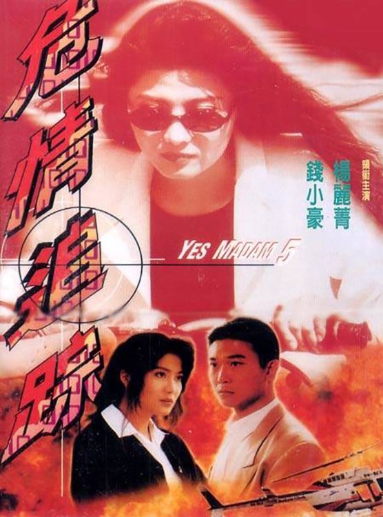 Poster de Yes Madam 5