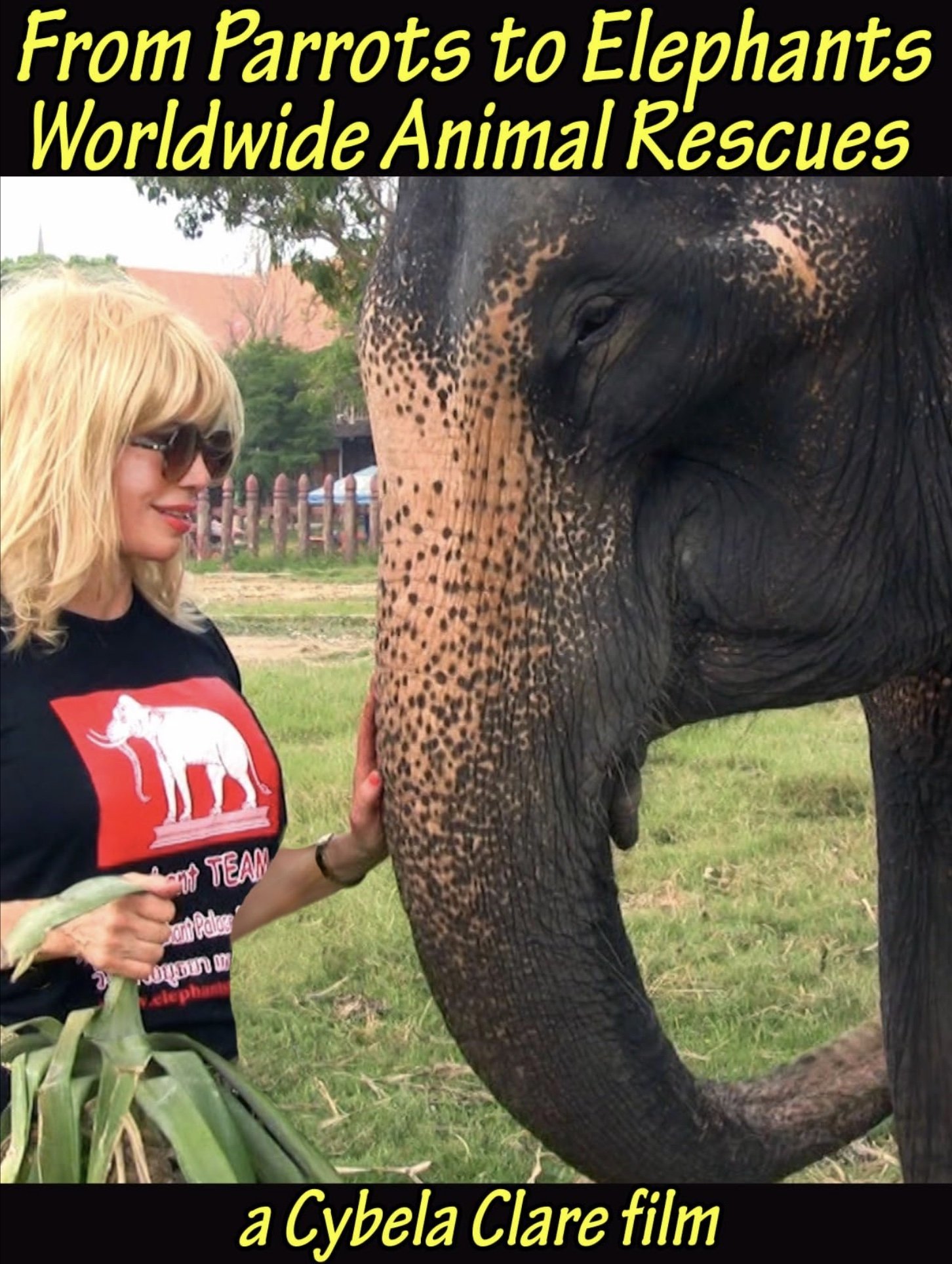 Poster de From Parrots to Elephants: Worldwide Animal Rescues