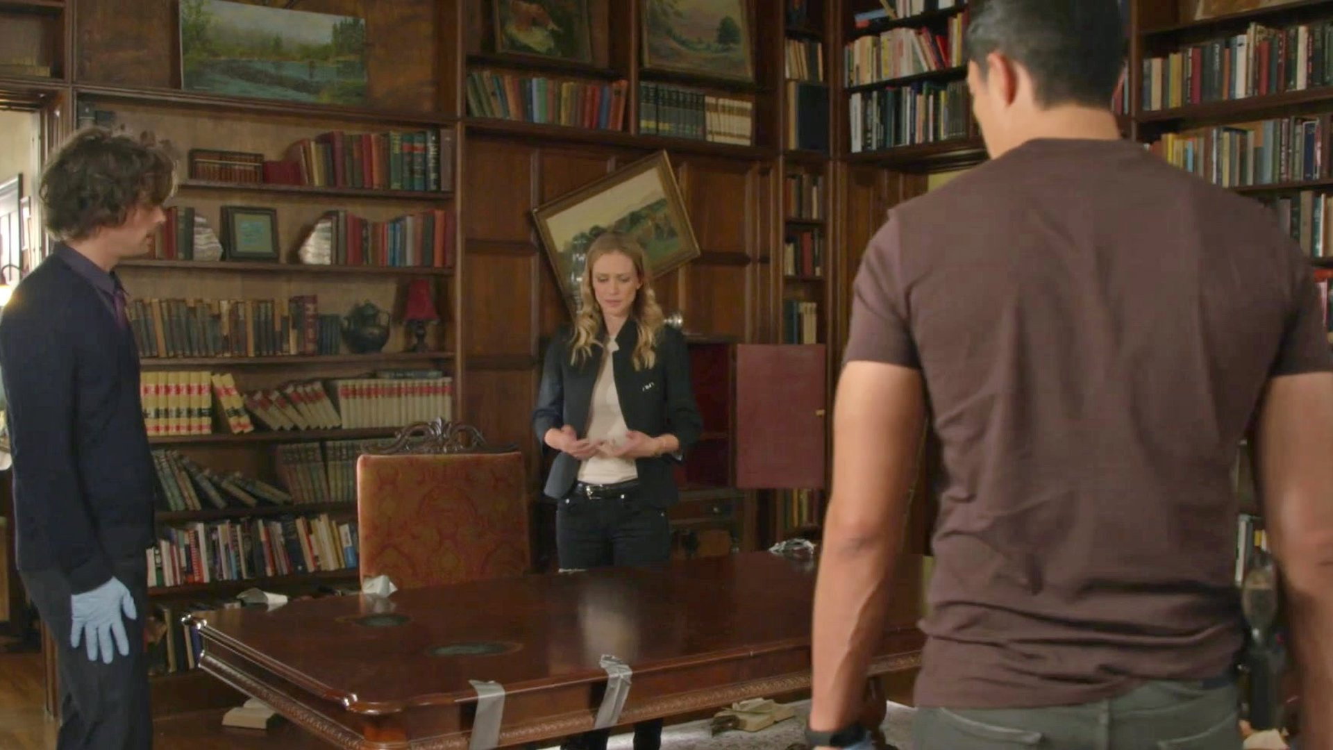 Mentes criminales 14×11