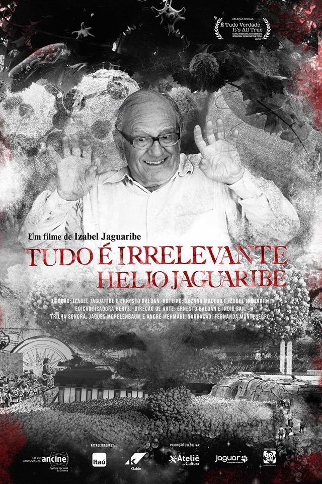 Poster de Tudo é Irrelevante. Hélio Jaguaribe