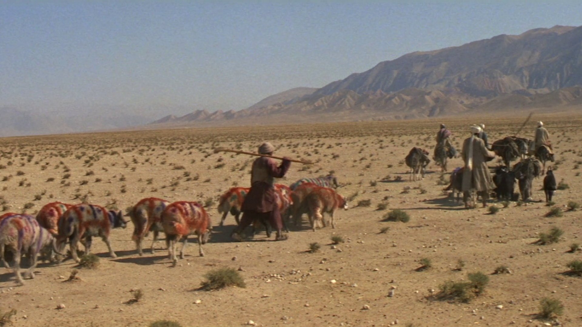Backdrop image
