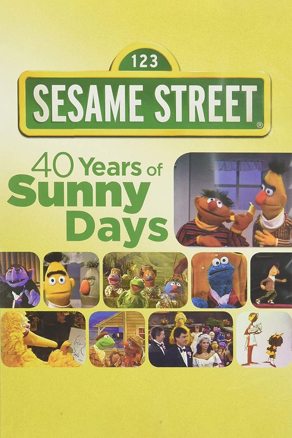 Affiche du film Sesame Street: 40 Years of Sunny Days