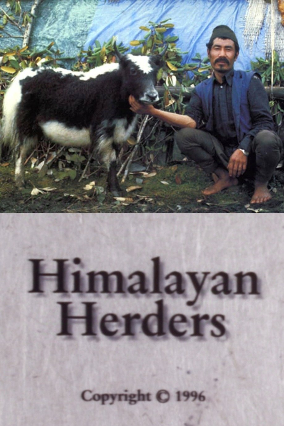 Poster de Himalayan Herders