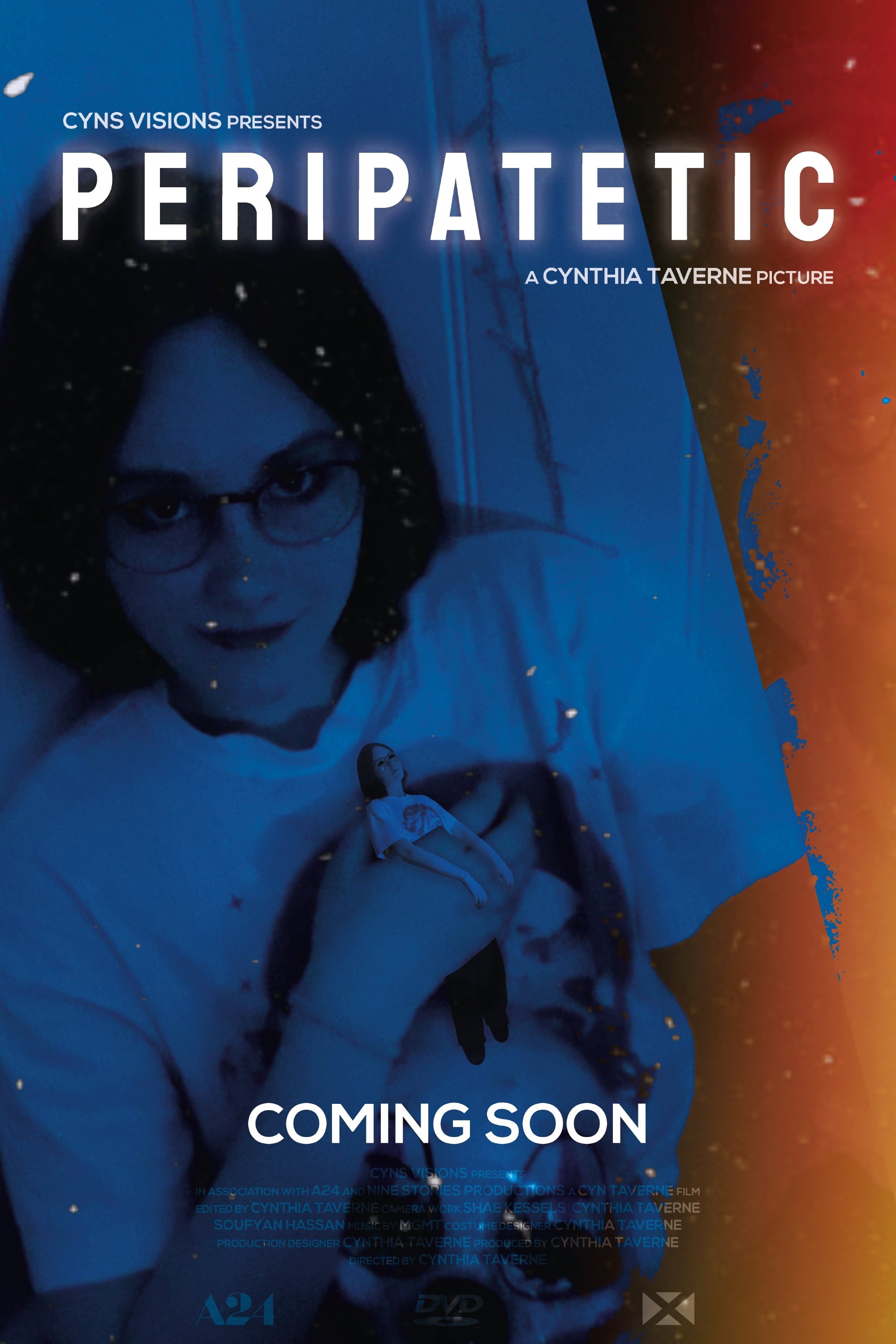 Poster de PERIPATETIC