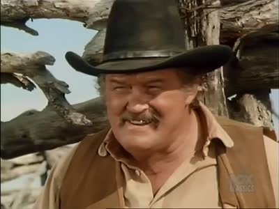 Bonanza 12×17