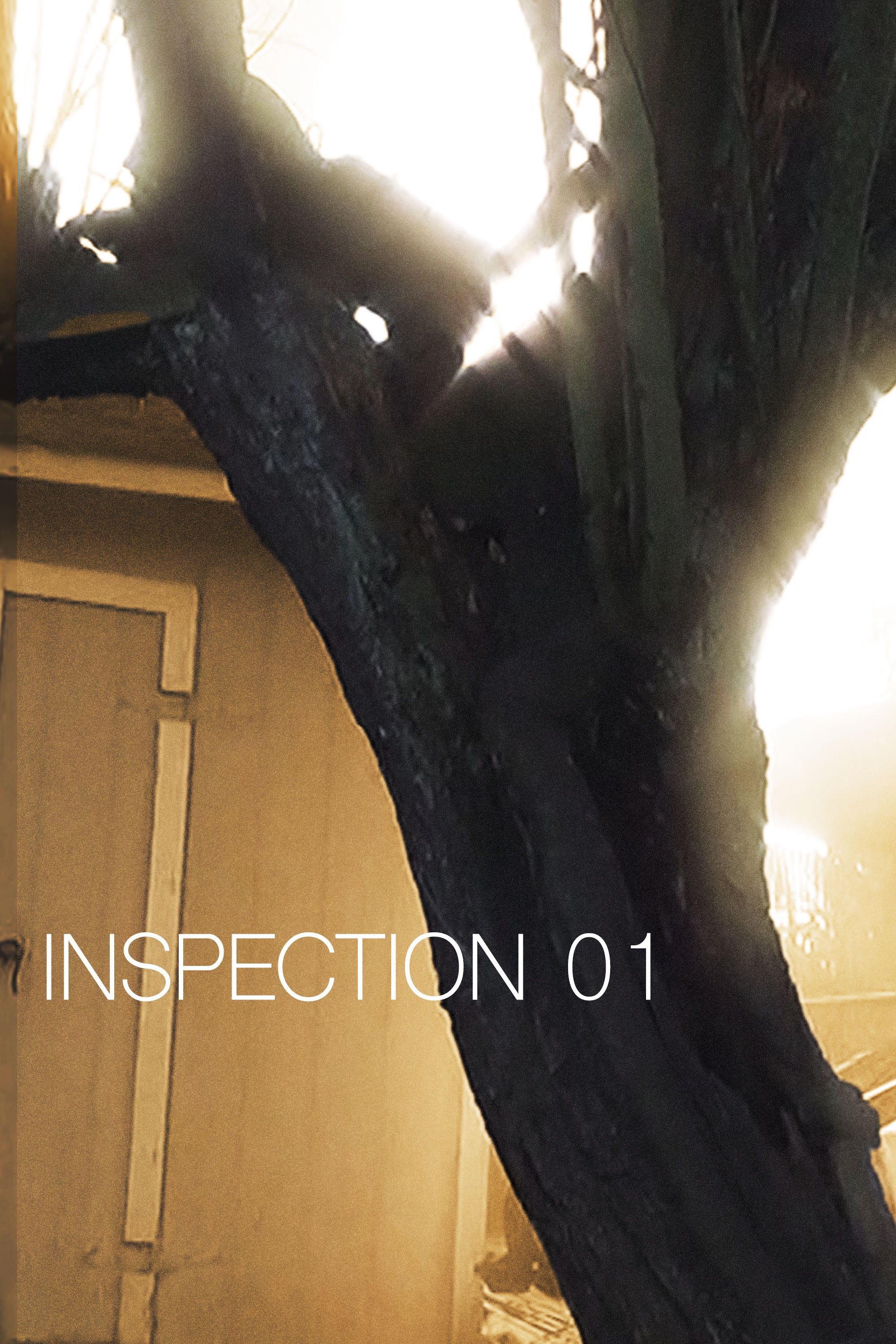 Poster de Inspection 01