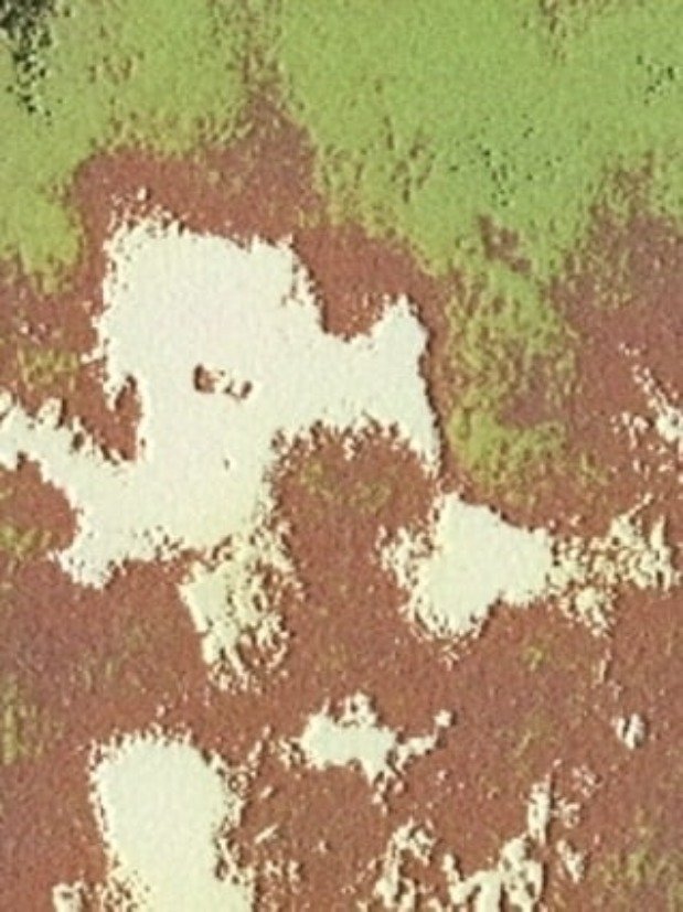 Poster de Quinkana