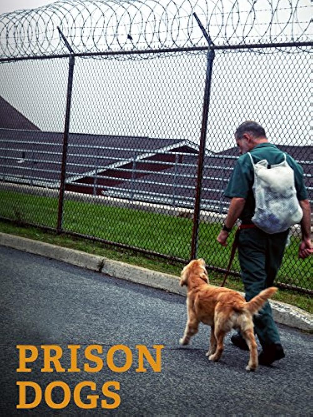 Poster de Prison Dogs