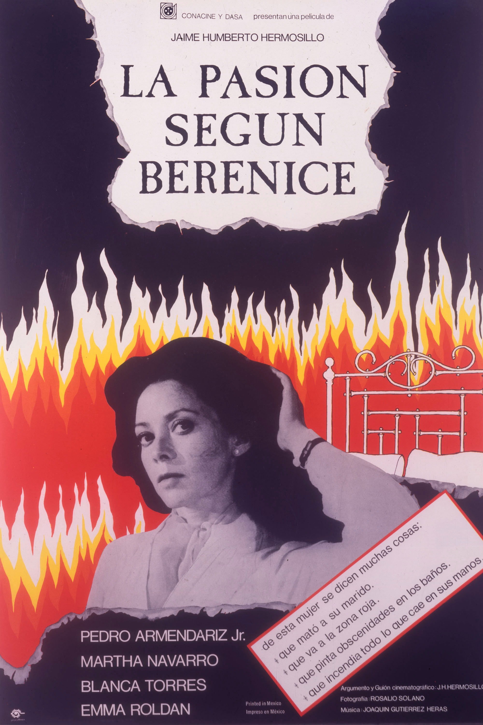 Poster de La Pasión Según Berenice