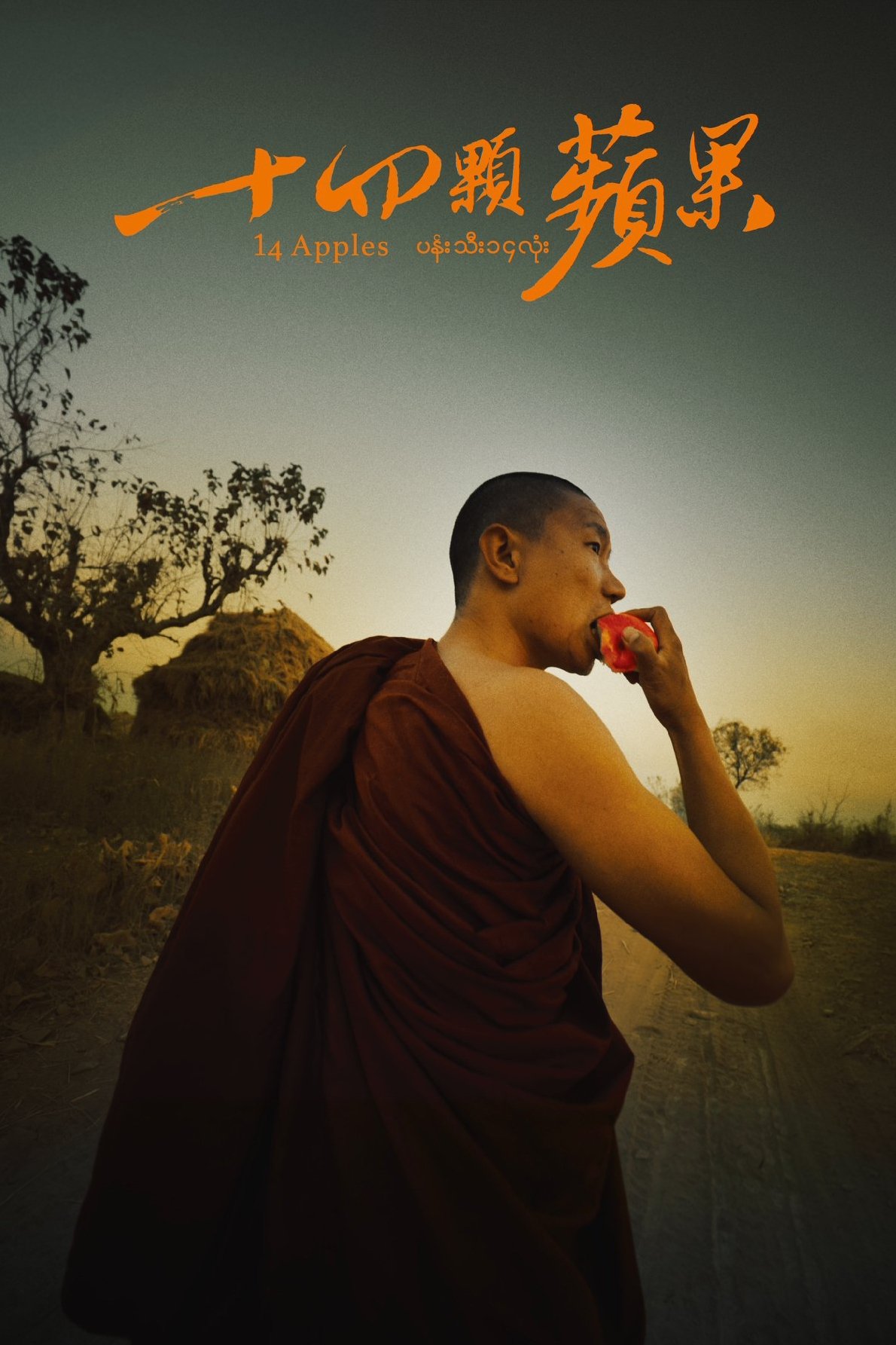 Poster de 十四顆蘋果