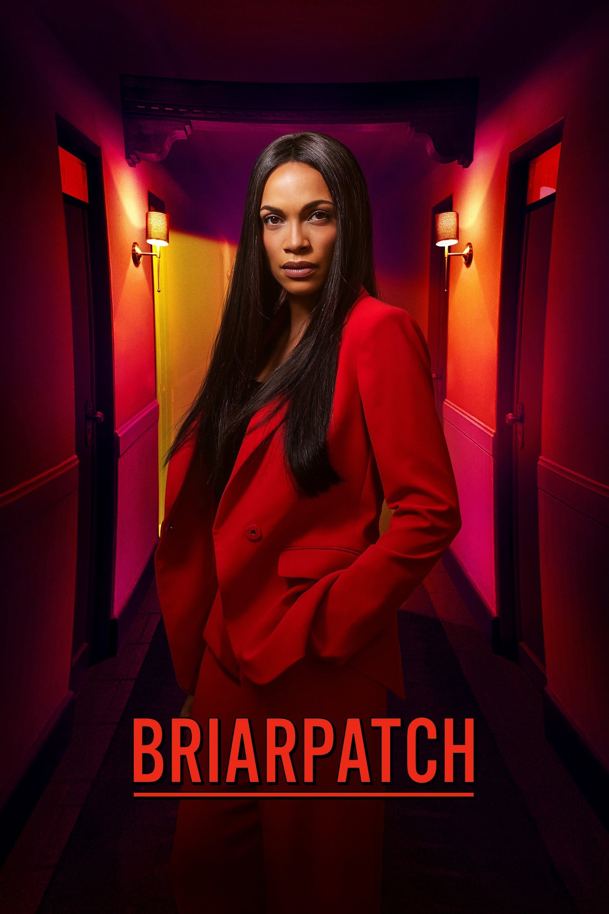 Poster de Briarpatch