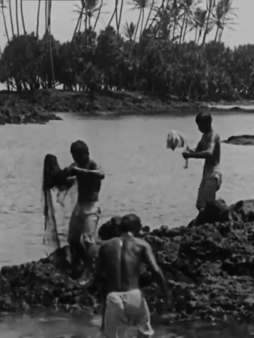 Poster de Kanaka Fishermen Casting the Throw Net, Hilo, H.I.