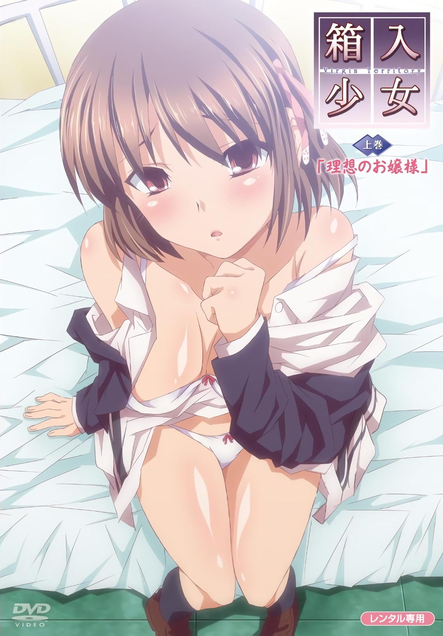 Poster de 箱入少女-Virgin Territory-