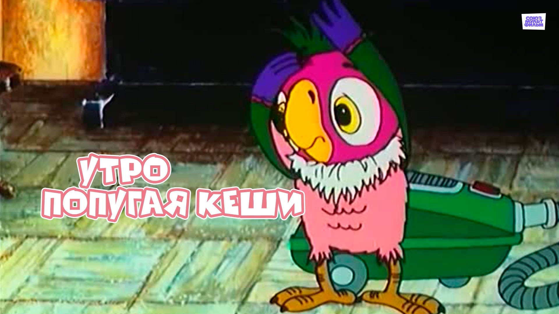 Morning of Kesha the Parrot