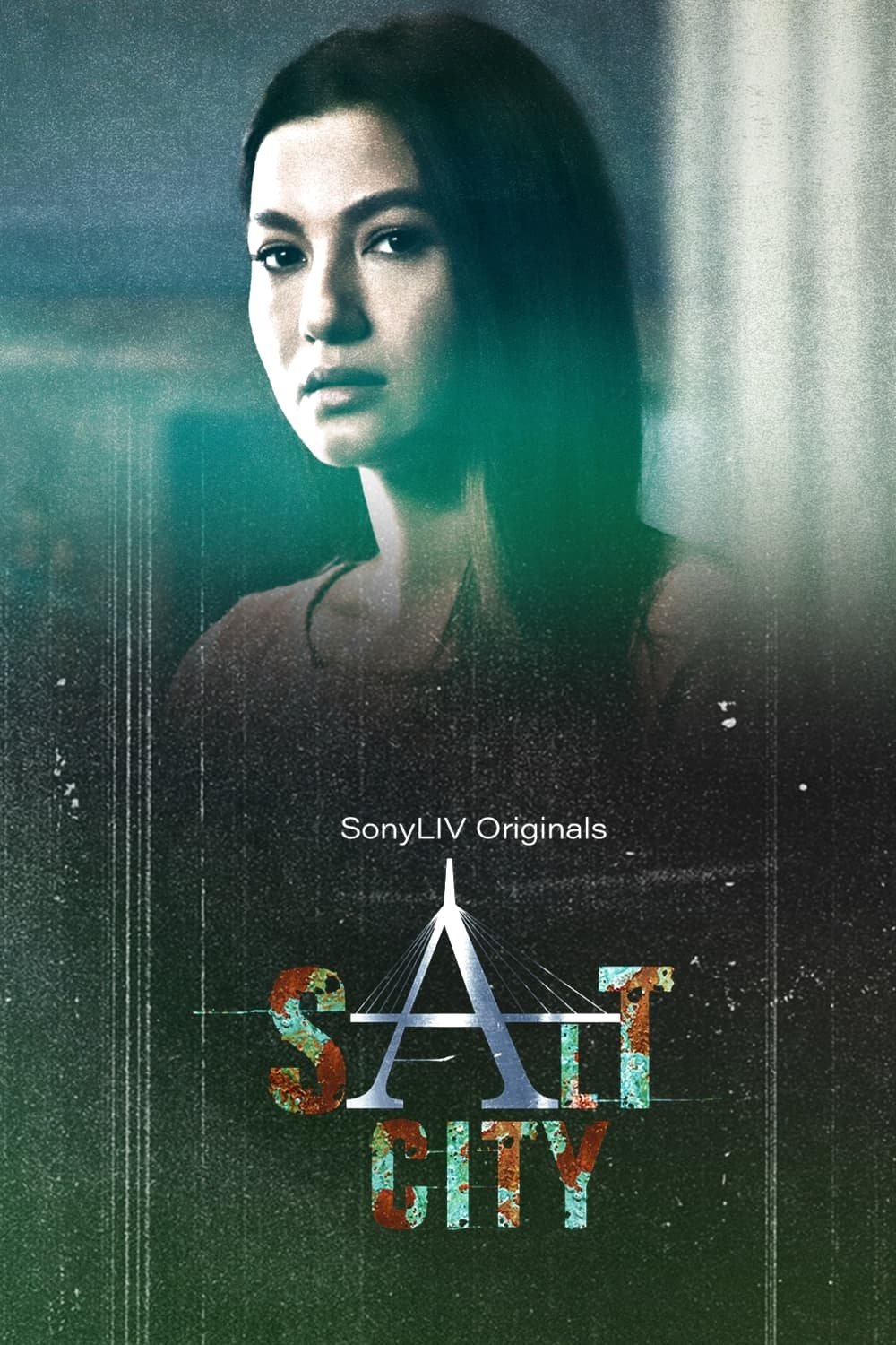 Poster de Salt City