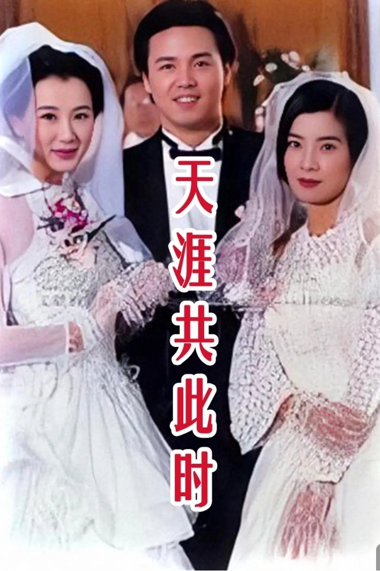 Poster de 天涯共此时