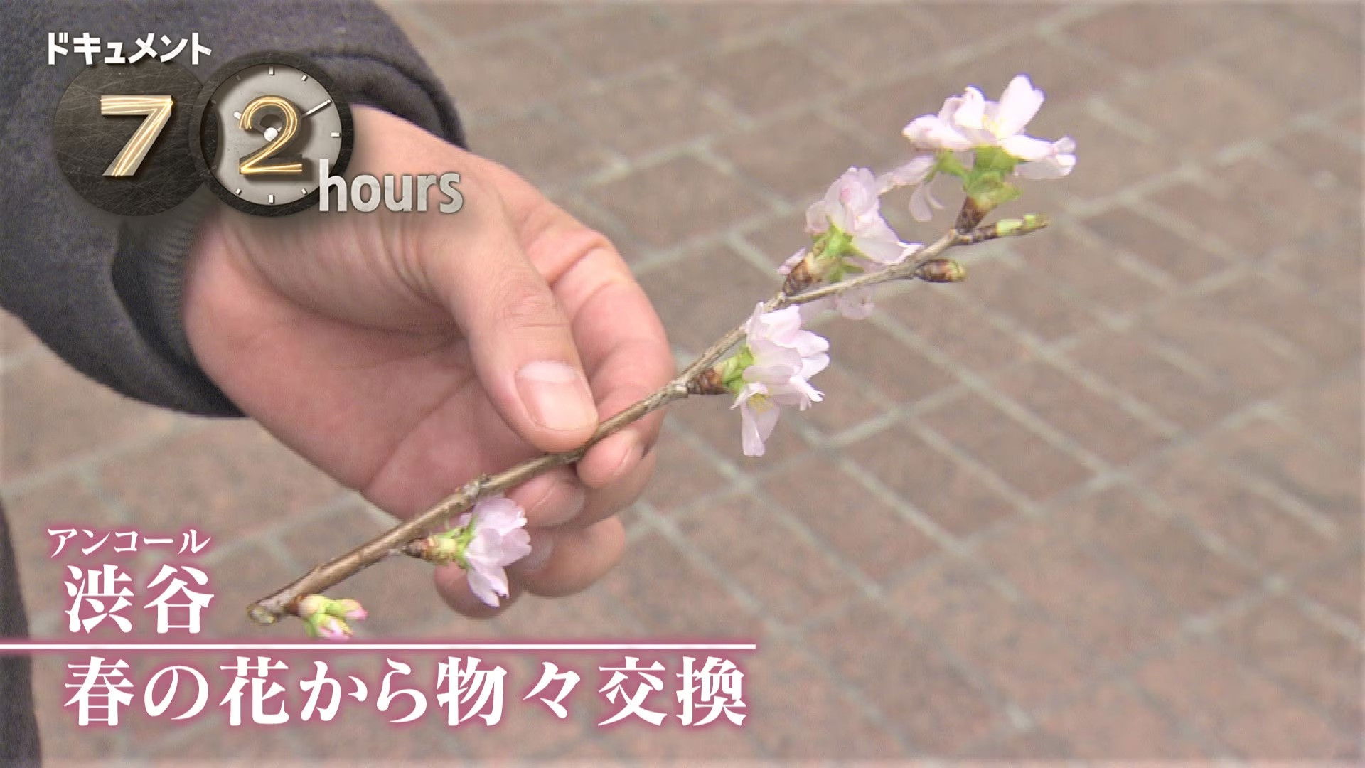 Shibuya: Spring Flowers and Bartering