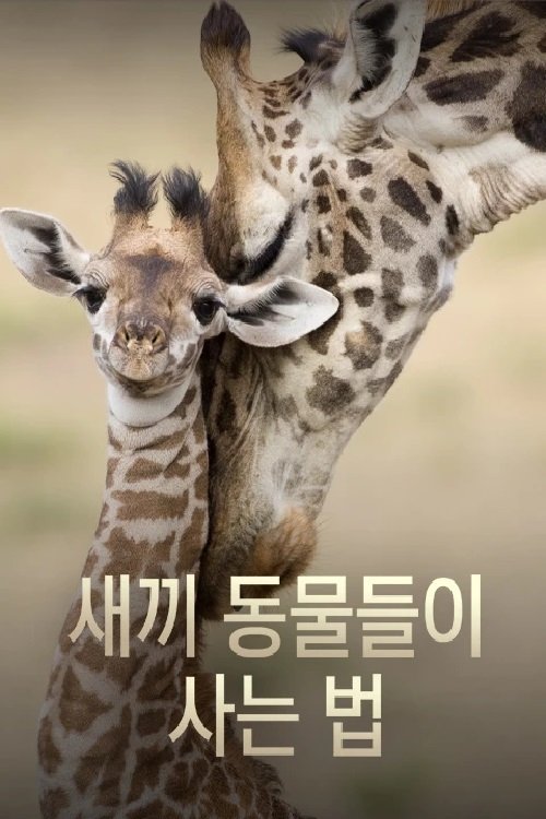 Poster de 새끼 동물들이 사는 법