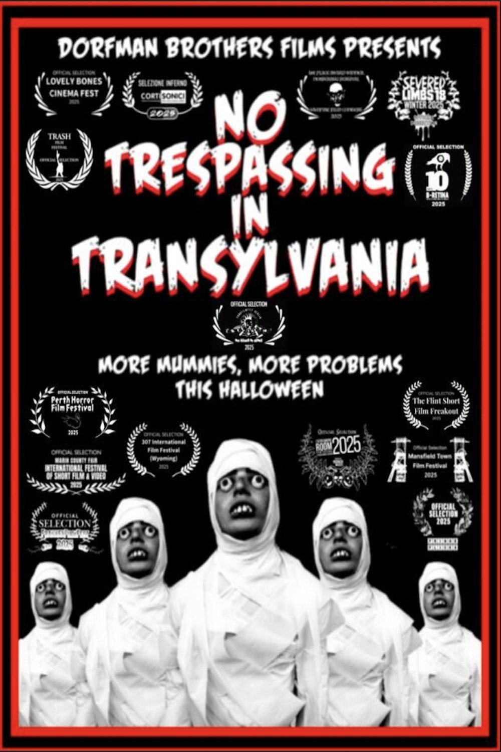 Poster de No Trespassing In Transylvania