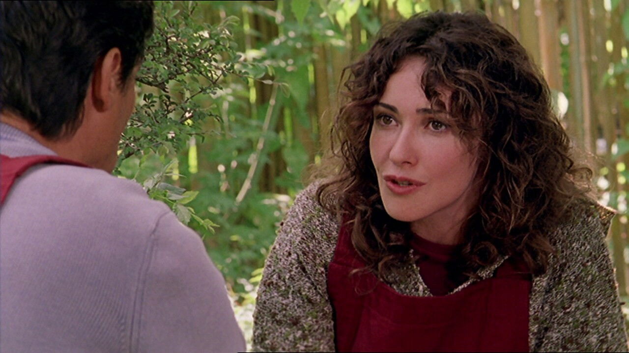 Monday, December 19 / Tuesday, December 20